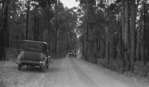 Motor cars travelling on a dirt road through jarrah forest 1920-29 Source SLWA
