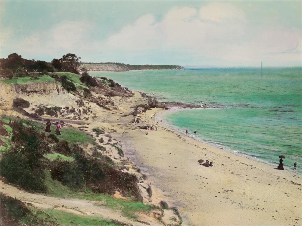 Eroded foreshore reserve 'Sandringham beach from Hampton Point' 1876 -1880s Source: N Caire NGV