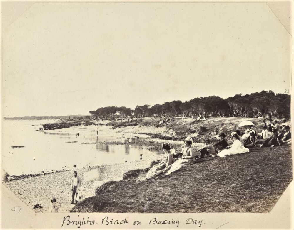 Thinning Coast Teatree 'Brighton Beach Boxing Day' approximately 1880 Source: National Library Australia
