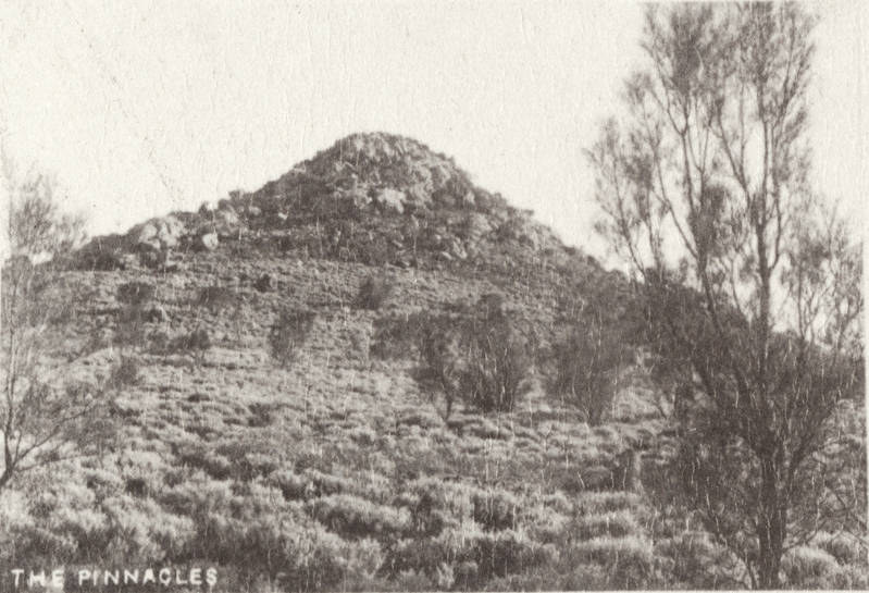 Indigenous vegetation The Pinnacles Broken Hill ca.1890 Source: SLSA (B-73354-5)