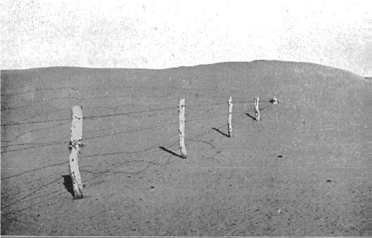 Severe soil-drift South Australia Source: South Australian Soil Conservation Committee 1937-38